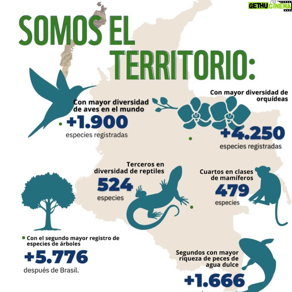 Marcela Carvajal Instagram - Sabían que hoy se celebra el día mundial de la biodiversidad!! Y Colombia es una Megapotencia!! Tenemos que aprovechar la #cop16colombia que ya se acerca y entre todos parar la destrucción que se está cometiendo en estos momentos del banco de vida que tiene nuestro país. Por ahora celebremos que Colombia es MEGADIVERSA y ayúdenme a replicar esta noticia. #happybiodiversityday #colombiamegadiverse @wwf_colombia