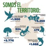 Marcela Carvajal Instagram – Sabían que hoy se celebra el día mundial de la biodiversidad!! Y Colombia es una Megapotencia!! Tenemos que aprovechar la #cop16colombia que ya se acerca y entre todos parar la destrucción que se está cometiendo en estos momentos del banco de vida que tiene nuestro país.  Por ahora celebremos que Colombia es MEGADIVERSA y ayúdenme a replicar esta noticia.  #happybiodiversityday #colombiamegadiverse  @wwf_colombia