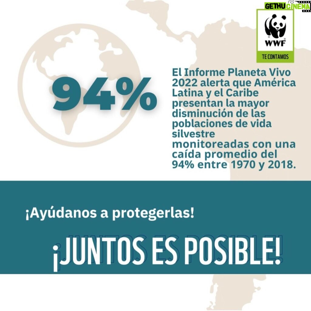 Marcela Carvajal Instagram - Sabían que hoy se celebra el día mundial de la biodiversidad!! Y Colombia es una Megapotencia!! Tenemos que aprovechar la #cop16colombia que ya se acerca y entre todos parar la destrucción que se está cometiendo en estos momentos del banco de vida que tiene nuestro país. Por ahora celebremos que Colombia es MEGADIVERSA y ayúdenme a replicar esta noticia. #happybiodiversityday #colombiamegadiverse @wwf_colombia