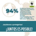 Marcela Carvajal Instagram – Sabían que hoy se celebra el día mundial de la biodiversidad!! Y Colombia es una Megapotencia!! Tenemos que aprovechar la #cop16colombia que ya se acerca y entre todos parar la destrucción que se está cometiendo en estos momentos del banco de vida que tiene nuestro país.  Por ahora celebremos que Colombia es MEGADIVERSA y ayúdenme a replicar esta noticia.  #happybiodiversityday #colombiamegadiverse  @wwf_colombia