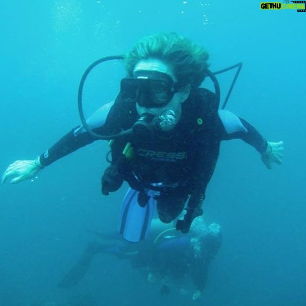 Marcela Carvajal Instagram - Mi #tbt es Marcela buceando por las aguas del caribe #diving in Caribbean waters