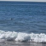 Marcela Carvajal Instagram - Freedom!! That’s what a little girl was shouting at the beach. Yes!! That’s what I feel when I’m in front of the ocean. I love you dear #ocean. Libertad!!! Eso gritaba una chiquita en la playa esta mañana y si, así me siento cuando estoy al frente del mar, LIBRE!! Te amo #oceano