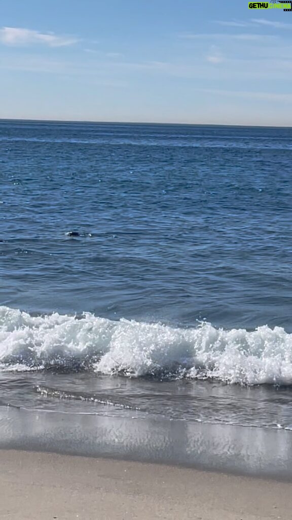 Marcela Carvajal Instagram - Freedom!! That’s what a little girl was shouting at the beach. Yes!! That’s what I feel when I’m in front of the ocean. I love you dear #ocean. Libertad!!! Eso gritaba una chiquita en la playa esta mañana y si, así me siento cuando estoy al frente del mar, LIBRE!! Te amo #oceano