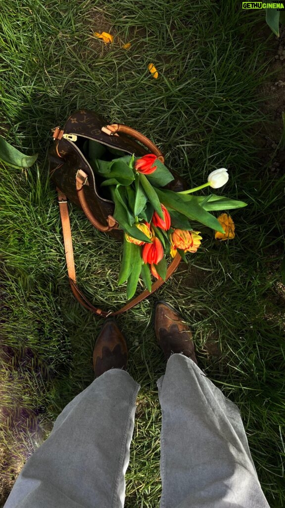 Margo Dumas Instagram - EN/UA👇🏼🌷 Just an hour away from London, yet you’re almost in Holland, but still in England. 😅 The place - @tulleystulips I recommend going in the morning because it gets very crowded by lunchtime, even on weekdays. The place has excellent infrastructure: you can eat, drink, roast marshmallows, buy Dutch waffles, and even pick up a bouquet of tulips at the flower boutique. Tickets cost £12. The farm is open until April 28th, so hurry! 😇 ————— Лише годину від Лондона, та ви майже в Голандії, але все ще в Англії😅. Місце - @tulleystulips Рекомендую все ж таки їхати з ранку, бо в обід дуже багато людей навіть в будні. Дуже класна інфраструктура місця: можно поїсти, попити, підсмажити маршмелоу, купити голандські вафлі та зібрати букет тюльпанів в бутіку квітів. Квиток коштує 12£. Ферма працює до 28-го Квітня, встигайте 😇