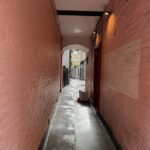 Mari Natsuki Instagram – #londondiaries 
#tunnel
#alleyway
#palpitate 
#walk

このトンネルを行ったらブタにされるのかな….
