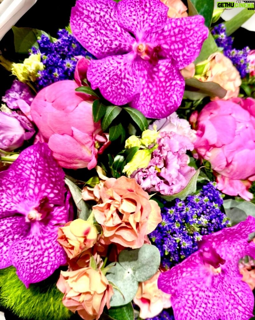 Mari Natsuki Instagram - #londondiaries #お花シリーズ #goodvibes #love おはよう........ マリーね、本日休演日！ 大事な1日、あそこいこっと👣 よい日にね。 12℃、やや曇り