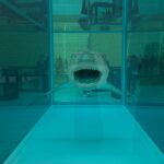 Mariana Avila Instagram - Damien Hirst