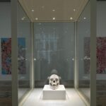 Mariana Avila Instagram - Damien Hirst