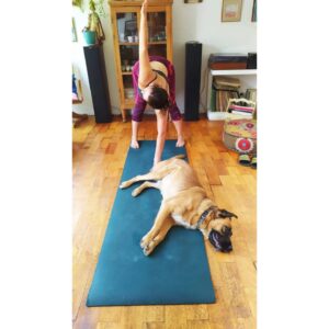 Mariana Loyola Instagram - Practicar yoga con un perro y una gata 😂😂😂

La foto del final lo resume todo. 

Feliz Navidaccccc humanxs.
Abrazo cariñoso y contenedor para cada unx. 

Ojalá les regale una sonrisa ♥💫