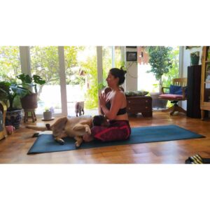 Mariana Loyola Instagram - Practicar yoga con un perro y una gata 😂😂😂

La foto del final lo resume todo. 

Feliz Navidaccccc humanxs.
Abrazo cariñoso y contenedor para cada unx. 

Ojalá les regale una sonrisa ♥💫