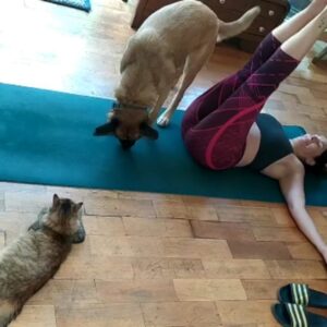 Mariana Loyola Instagram - Practicar yoga con un perro y una gata 😂😂😂

La foto del final lo resume todo. 

Feliz Navidaccccc humanxs.
Abrazo cariñoso y contenedor para cada unx. 

Ojalá les regale una sonrisa ♥💫