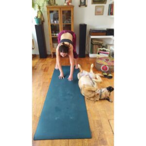 Mariana Loyola Instagram - Practicar yoga con un perro y una gata 😂😂😂

La foto del final lo resume todo. 

Feliz Navidaccccc humanxs.
Abrazo cariñoso y contenedor para cada unx. 

Ojalá les regale una sonrisa ♥💫