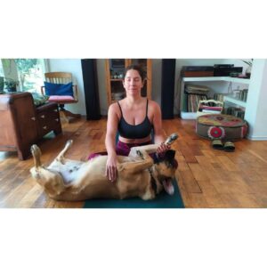Mariana Loyola Instagram - Practicar yoga con un perro y una gata 😂😂😂

La foto del final lo resume todo. 

Feliz Navidaccccc humanxs.
Abrazo cariñoso y contenedor para cada unx. 

Ojalá les regale una sonrisa ♥💫