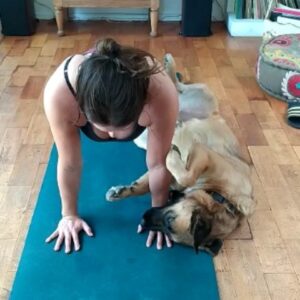 Mariana Loyola Instagram - Practicar yoga con un perro y una gata 😂😂😂

La foto del final lo resume todo. 

Feliz Navidaccccc humanxs.
Abrazo cariñoso y contenedor para cada unx. 

Ojalá les regale una sonrisa ♥💫