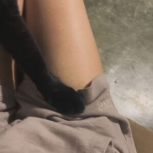 Mariana Molina Instagram - eu jogando baralho, alguns pets e frases motivacionais
