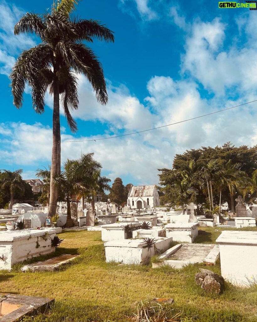 Marie-Lyne Joncas Instagram - Marcher seule à Nassau et prendre quelques clichés! Voir du beau dans tout!