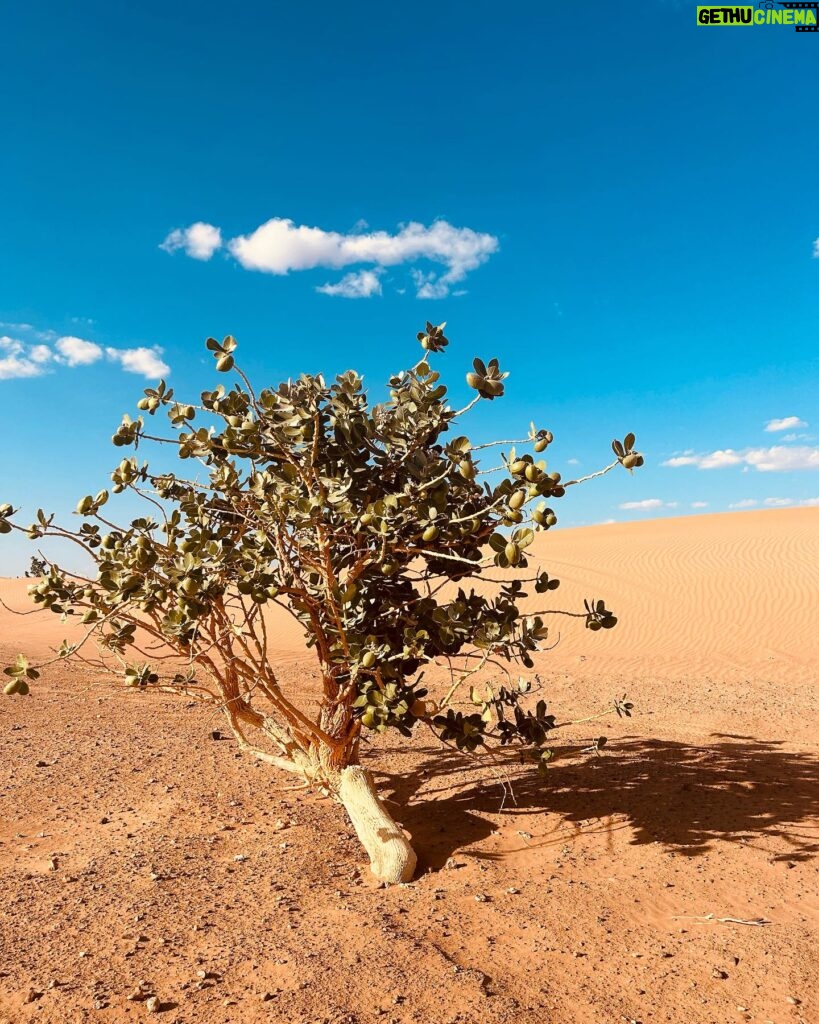 Marie-Lyne Joncas Instagram - Le désert! Point barre!