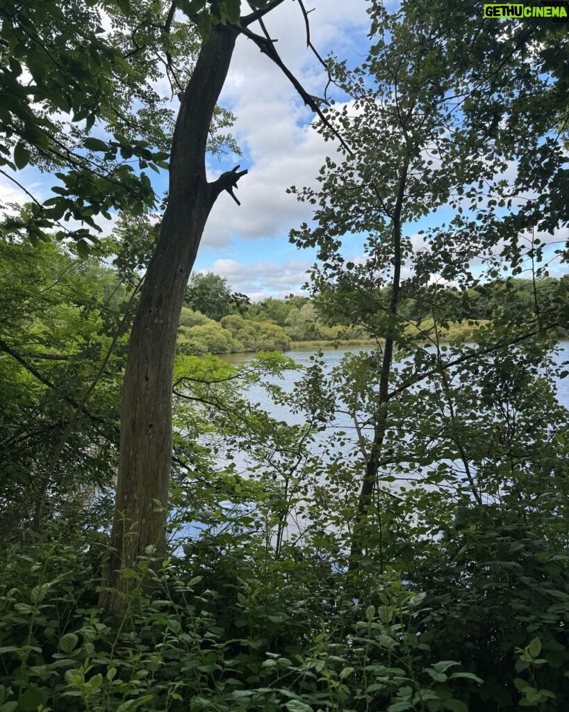 Marie Legault Instagram - Un week-end nature dans un cadre exceptionnel 🌳 #chevauxpassion #nature #yoga #sourire #bienetre #bonheur#campagnefrancaise #beaupaysage #girolles #champignonsauvage #cueillette #chienheureux #weekenddereve #cielmagnifique #fleurs #roses #arbrescentenaires #belleforêt #randonnée #gratitude