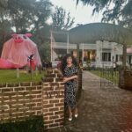 Marie Osmond Instagram - Ok! I have to show you the cutest thing!! When I was in Savannah a few weeks back, we went to this beautiful house before the speech and instead of poltergeist, our host had a big, gigantic, blowup pig in the front yard and called it porkergeist for Halloween🐷👻 Look at the size of this thing!😂🤣