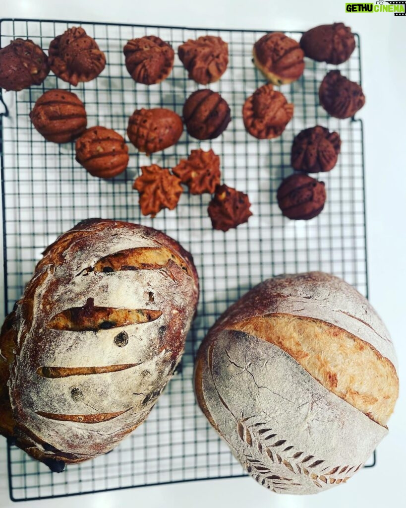 Marika Domińczyk Instagram - How did i miss that?! Yesterday was National Homemade Bread day 💕. Making bread during this pandemic has really been a game changer for me (and my family 😋) You are never to old to find a new passion in life. ♥️ #nationalhomemadebreadday #sourdough #realbread #homebaker #homemadebread #sourdoughstarter #breadskills #jackofalltrades #homebaking