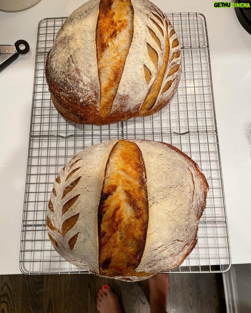 Marika Domińczyk Instagram - How did i miss that?! Yesterday was National Homemade Bread day 💕. Making bread during this pandemic has really been a game changer for me (and my family 😋) You are never to old to find a new passion in life. ♥️ #nationalhomemadebreadday #sourdough #realbread #homebaker #homemadebread #sourdoughstarter #breadskills #jackofalltrades #homebaking