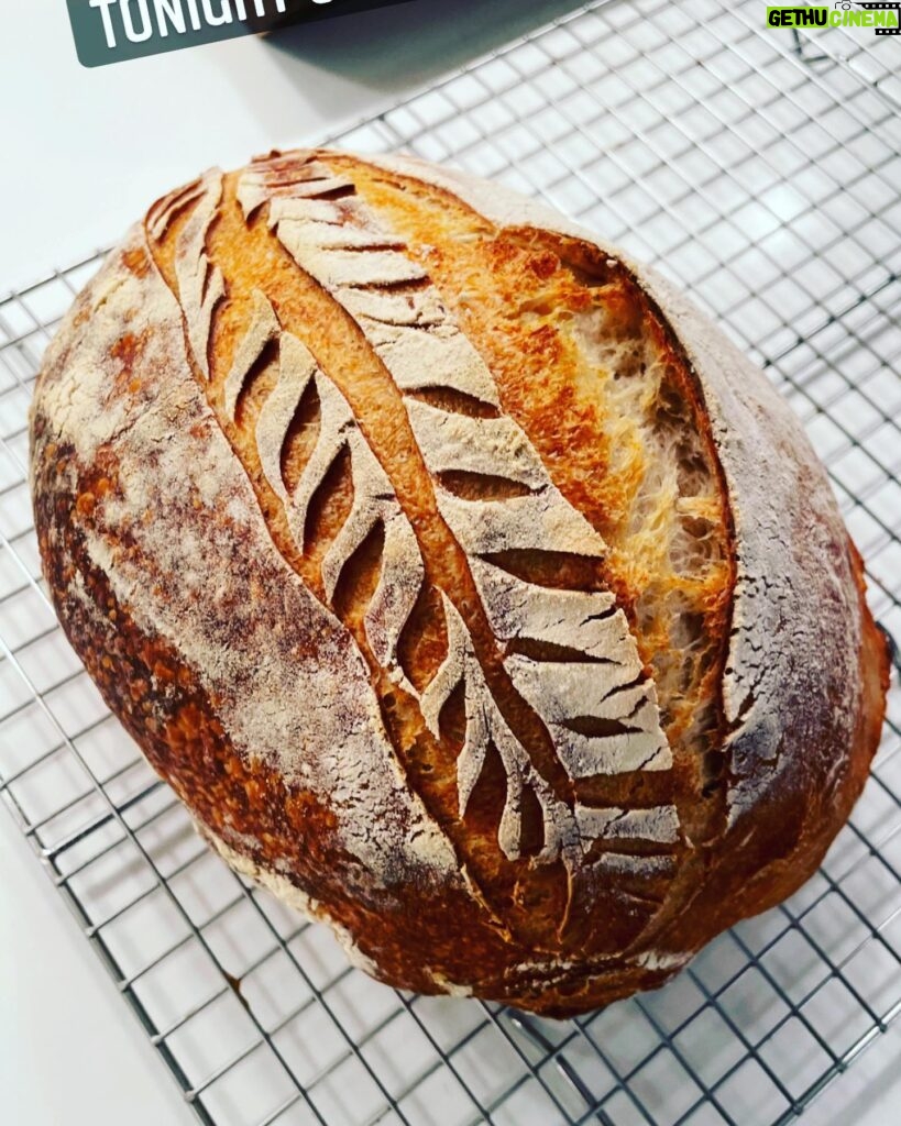 Marika Domińczyk Instagram - How did i miss that?! Yesterday was National Homemade Bread day 💕. Making bread during this pandemic has really been a game changer for me (and my family 😋) You are never to old to find a new passion in life. ♥️ #nationalhomemadebreadday #sourdough #realbread #homebaker #homemadebread #sourdoughstarter #breadskills #jackofalltrades #homebaking