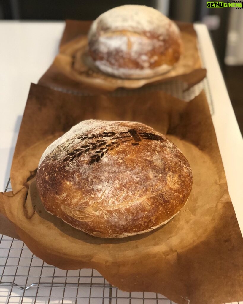 Marika Domińczyk Instagram - How did i miss that?! Yesterday was National Homemade Bread day 💕. Making bread during this pandemic has really been a game changer for me (and my family 😋) You are never to old to find a new passion in life. ♥️ #nationalhomemadebreadday #sourdough #realbread #homebaker #homemadebread #sourdoughstarter #breadskills #jackofalltrades #homebaking