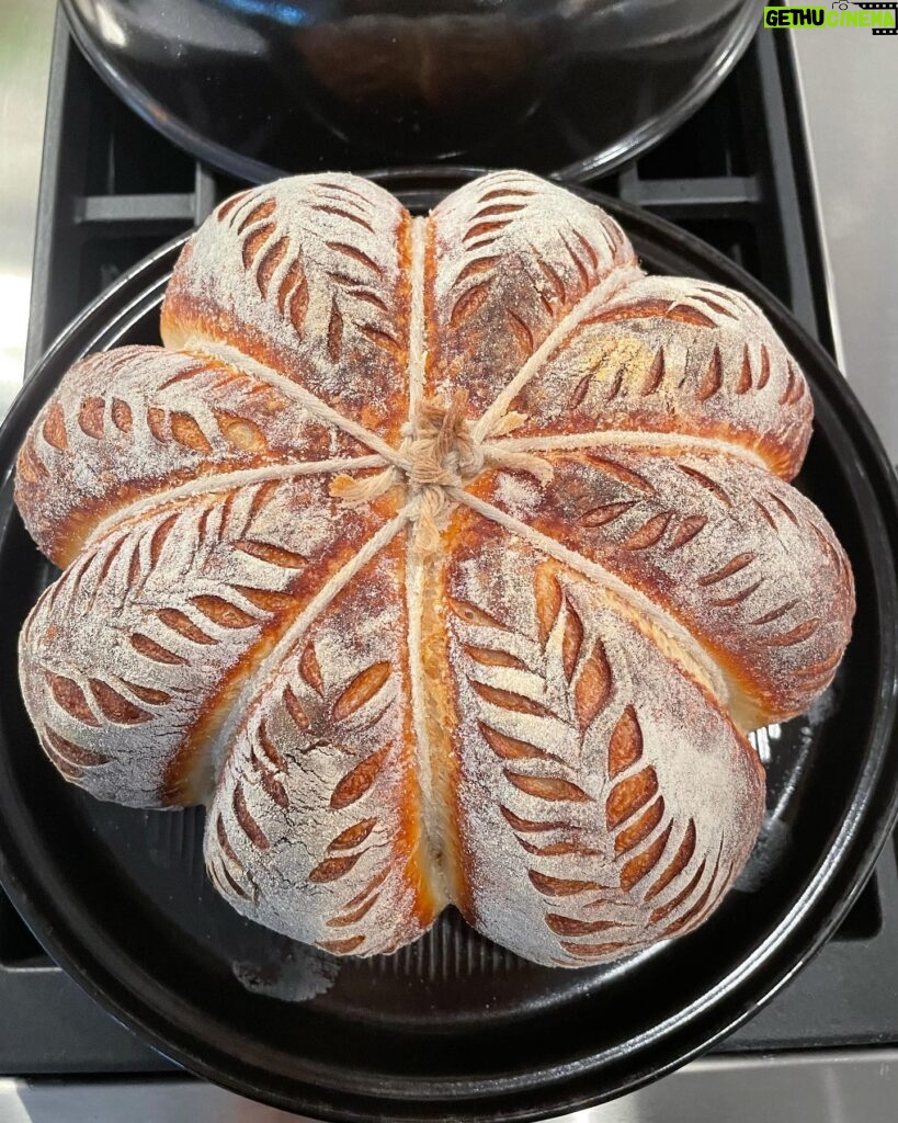 Marika Domińczyk Instagram - #thanksgiving is just around the corner so I’m working on my #breadmaking. This is a #sourdogh shaped like a 🎃 … up next , working on my #sourdoughturkey 🤣💕 #realbread #homebaker #breadbaking #sourdoughbread ♥️