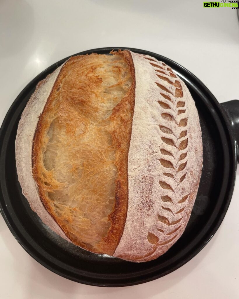 Marika Domińczyk Instagram - How did i miss that?! Yesterday was National Homemade Bread day 💕. Making bread during this pandemic has really been a game changer for me (and my family 😋) You are never to old to find a new passion in life. ♥️ #nationalhomemadebreadday #sourdough #realbread #homebaker #homemadebread #sourdoughstarter #breadskills #jackofalltrades #homebaking