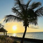 Mariloup Wolfe Instagram - Un peu de soleil aujourd’hui!!! 🌴☀️ À la vôtre! 🍹