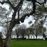 Mariloup Wolfe Instagram - Aujourd’hui sous la pluie, j’ai découvert la magnifique ville de Washington où les cerisiers étaient tous en fleur! 🌸 Vive le printemps! Ce qui m’a aussi marqué c’est le nombre et la beauté des bâtiments historiques. En plus que tous leurs musées sont sur la même rue et sont gratuits!!!!! C’est-tu pas merveilleux!!! Toute cette journée de découverte dans le but de venir présenter mon film Cœur de Slush invitée par le Bureau du Québec à Washington dans le cadre du mois de la francophonie! Merci pour cette belle invitation!!! 💙