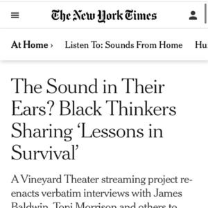 Marin Ireland Instagram - Y’ALL. BIG DAY. The Greyest of Ladies has a beautiful piece about our project, with a stunner of a photo of our incomparable leader, Tyler Thomas. Read, watch, all of it—we’re extending the viewing until November 29th. Because we love you. Hearing the words from these thinkers and artists is a balm in these savage times. For real.