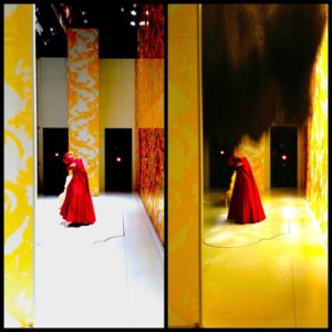 Marin Ireland Instagram - Marie Antoinette, Yale Rep, 2012.