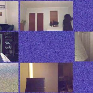 Marin Ireland Instagram - The opening credits to Lessons In Survival. This knocks me OUT every time. Composed by powerhouse @danielklugermusic (just nominated for one hundred Tonys!), sampling the words of the unmatchable Sonia Sanchez herself, edited by brilliance personified @josiah.davis and directed by our queen @t.thom, featuring legends of past and present (including diva Myra Lucretia Taylor, also a Tony nominee this year!!). If you haven’t gotten tickets yet, GET INTO IT. You won’t regret it. Link in bio my loves. #lessonsinsurvivalvt