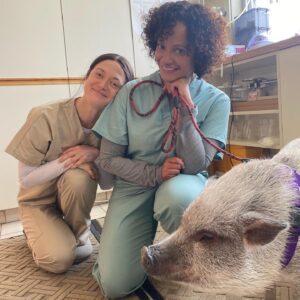 Marin Ireland Instagram - In honor of birth/rebirth premiering tonight at Sundance, may I present some selected BTS…AJ teaching me our secret handshake, chillin in the freezer, some Anjali the pig loving her 90s shake pad, Regina’s killer wrap day outfit, and of course, JUDY. MFING. REYES. I’m filled to the brim with gratitude for everyone involved. (Thank you especially @mxlauramoss. This was special.)