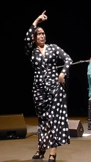 Marina Heredia Instagram - Festival Flamenco de Nîmes
Extracto del espectáculo “En concierto” en el Teatro de Nîmes, en el marco del Festival Flamenco de Nîmes 

Jose Quevedo « El Bola » a la guitarra, 
Paquito González a la percusión, 
Y Anabel Rivera y Fita Heredia a las palmas

📸 Salah Mansouri