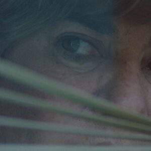 Marina Mota Instagram - The series Motel Valkirias is on Onza Distribution shortlist and is one of the three finalists for the Platino Awards 2024 in the category of Best Ibero-American Miniseries ✨ The actress @_marina_mota_oficial has also been recognized for her excellent performance in this series, also receiving a nomination for best actress 👏🏻