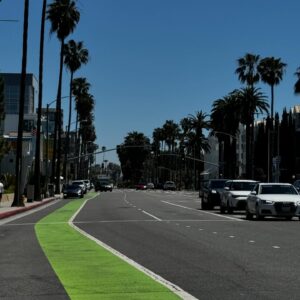 Marina Rodriguez Instagram - Santa Monica CA! 🏖️😎

Sempre conectada com a internet da @simpremiumbr pelo mundo! 🤩📱
