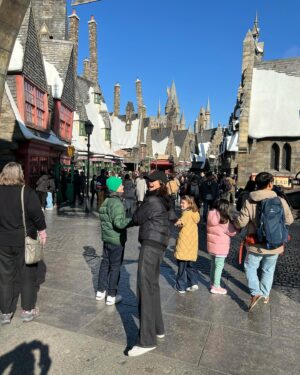 Marina Aleksandrova Instagram - Я-Super Мама! А кто скажет что это не так? 

Выпила butterbeer ✅
Два часа в очереди. Поняла, что терпения хватает на полтора часа✅
Преодолела боязнь толпы✅
Съела  кучу гадости ( даже не знаю что)✅ 
Победила в квидич, освободила город от преступников с Человеком-Пауком, так и не поняла кто такие миньоны, собрала все монеты с Марио, прокричалась на Американских горках✅
Осознала, что без мужа бы не справилась✅

Мы сделали детей счастливыми💚

А ваши успехи в новом году?) 

#фотоальбомдлявнуков #universalstudios