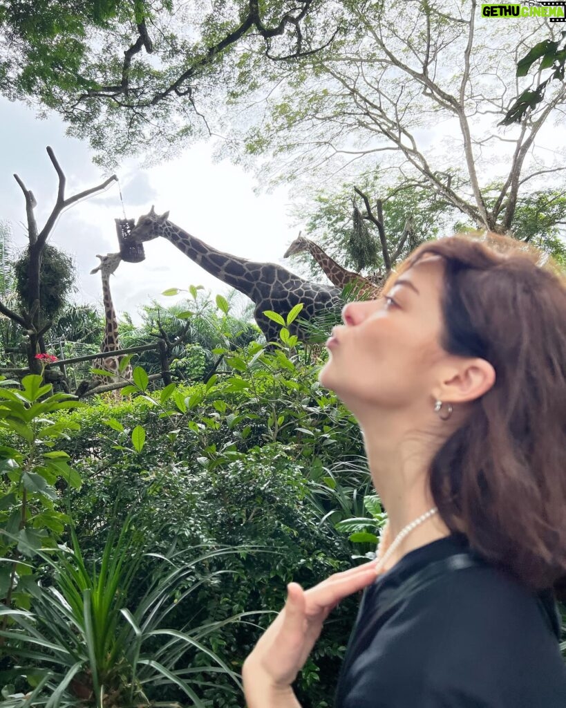 Marina Aleksandrova Instagram - Мой зоопарк! А кто вы 1го января? #singapore #фотоальбомдлявнуков