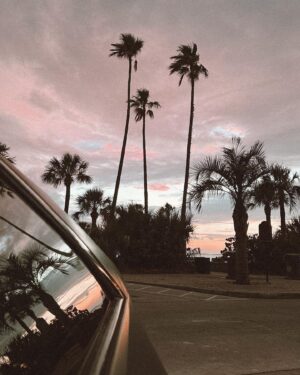 Marissa Gialousis Instagram - may was good to me

#flogrown #pureflorida #roamflorida #tampabay #exploreyourcity #tampablogger #stpete  #stpeteblogger #bestofday #tampa #illgrammers #fatalframes #tampaflorida #agameoftones  #moodygrams #summer #igdaily #moody #aestheticedits #photooftheday #florida #tampabay #thepearltampa #sunset