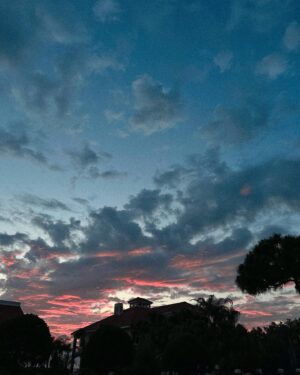 Marissa Gialousis Instagram - may was good to me

#flogrown #pureflorida #roamflorida #tampabay #exploreyourcity #tampablogger #stpete  #stpeteblogger #bestofday #tampa #illgrammers #fatalframes #tampaflorida #agameoftones  #moodygrams #summer #igdaily #moody #aestheticedits #photooftheday #florida #tampabay #thepearltampa #sunset