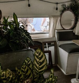 Marissa Gialousis Instagram - I drove 7 miles for a free plant from marketplace today. Is that bayud (gilly voice) s/o if u know what I’m even talkin about

#flogrown #pureflorida #roamflorida #tampabay #exploreyourcity #tampablogger #stpete  #stpeteblogger #bestofday #tampa #illgrammers #fatalframes #tampaflorida #agameoftones  #moodygrams #summer #igdaily #moody #aestheticedits #photooftheday #florida #tampabay #thepearltampa #plantdad #plants #plant