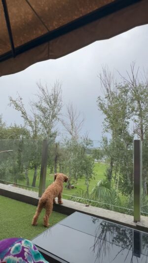 Marixa Balli Instagram - Ayer sábado estaba camino a Empedrado Corrientes ,recibí una llamada y regresé a Carlos Paz … Porqué regresé????
