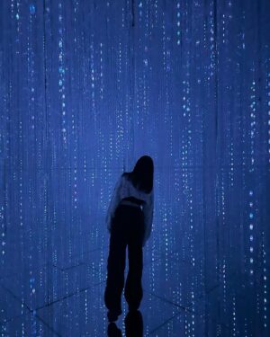Mariya Nagao Instagram - @teamlab_borderless 💎✨💖

麻布台ヒルズにできたチームラボに行ってきましたっ
探検しながら発見するをテーマに本当に規模が大きくて色々な世界に彷徨って行ったり戻ったりしながら新しい発見をしたよ
歩くいたところに川が流れたり壁を触ると花が散ったり感動したぁ😌

#麻布台ヒルズ 
#teamlabborderless  #tokyo
#チームラボボーダレス