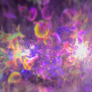 Mariya Nagao Instagram - @teamlab_borderless 💎✨💖

麻布台ヒルズにできたチームラボに行ってきましたっ
探検しながら発見するをテーマに本当に規模が大きくて色々な世界に彷徨って行ったり戻ったりしながら新しい発見をしたよ
歩くいたところに川が流れたり壁を触ると花が散ったり感動したぁ😌

#麻布台ヒルズ 
#teamlabborderless  #tokyo
#チームラボボーダレス