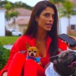 Marjorie Magri Instagram - P2. Conoce a Marjorie, Huracán, T-Bone y White 💙🐶 Una familia demasiado adorable! Muchas gracias chicos por confiarnos a tus bebés, lo hacemos con todo el amor del mundo 🫶🏻✨ Meet Marjorie, Huracán, T-Bone and White 💙🐶 Such an adorable family! Thank you very much guys for trusting us with your babies, we do it with all the love in the world 📍We are Miami based! 📲7863679140 Bring our experience to your home!🏠🐾 #dogs #dogsofinstagram #dog #dogstagram #puppy #doglover #dogoftheday #instadog #doglovers #doglife #pets #love #puppylove #puppies #pet #puppiesofinstagram #dogsofinsta #cute #instagram #of #petsofinstagram #dogslife #doggo #animals #ilovemydog #cats #doglove #petstagram #dogphotography #cutedogs
