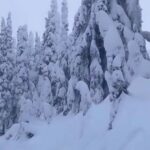 Marla Maples Instagram - I find such companionship with nature, even when I’m alone, as we are never truly alone ✨ I had to share this moment with you, as I was skiing down the beautiful slopes at Whitefish Mountain in Montana. Explore the things you love and expect great inspiration along the way❄️✨. Ps there was so much beauty I almost got frostbite from snapping away. Anyone making a ski glove for multitasking on the slopes? 🥶