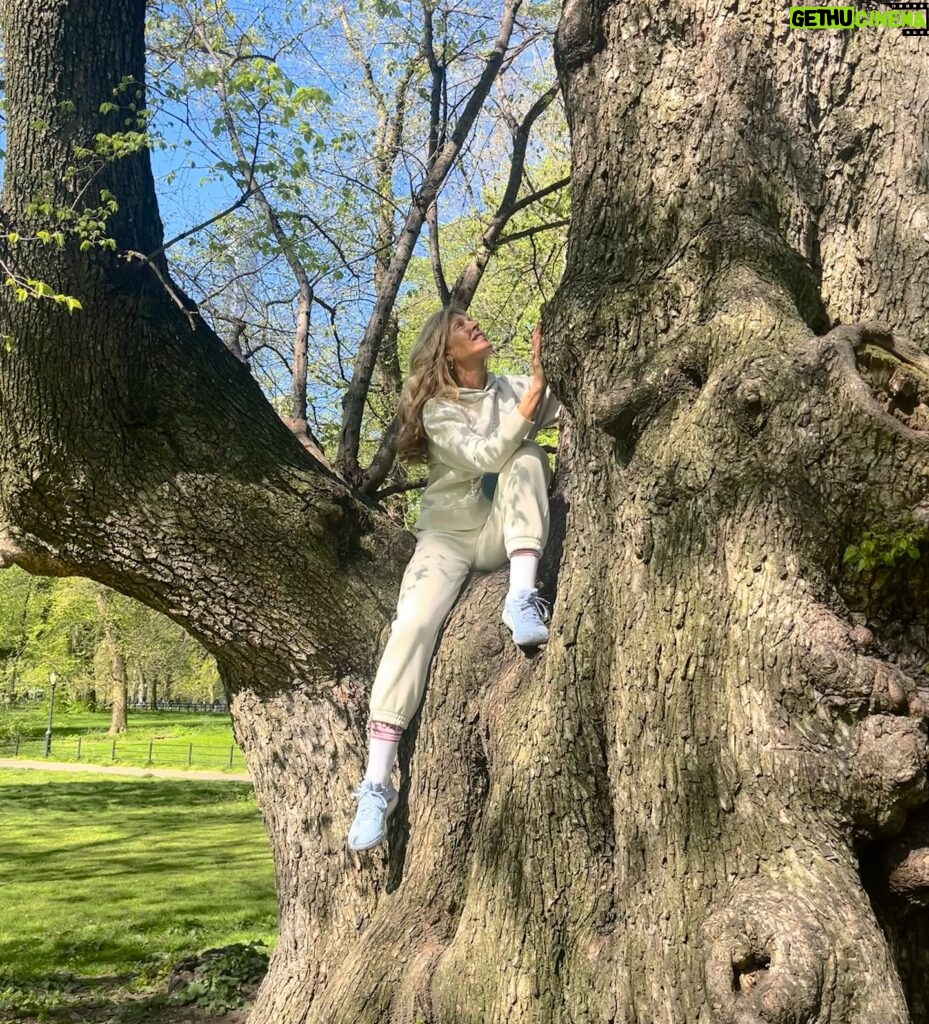 Marla Maples Instagram - Climbing up and rooting deep ✨ What great teachers we have … like this old wise one. A grateful morning moment in Central Park shared with @healing.through.happiness We learned long ago the importance of having fun and sharing our joy🤩 May we all strive to bring our hearts, minds and souls in alignment as we share it with each other. #NYC #central park #treelovers #wellnessjourney
