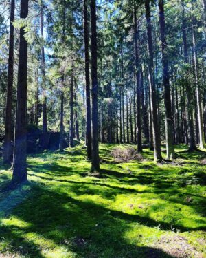 Marleen Lohse Instagram - Hejdå kära Sverige!
#bisnächstesjahr